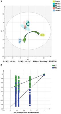 Unraveling the dynamic changes of volatile compounds during the rolling process of Congou black tea via GC-E-nose and GC–MS